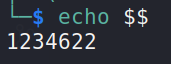 linux reverse tcp shellcode