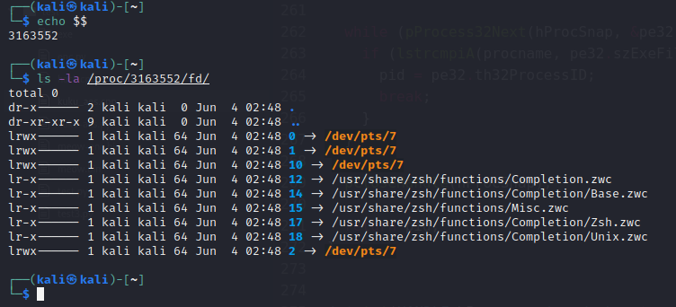 linux reverse tcp shellcode