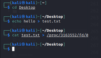 linux reverse tcp shellcode
