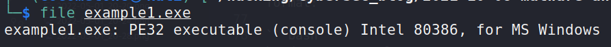 analyzing a file named example1.exe with file command