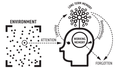 Cognitive load diagram