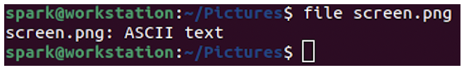 image of running file command on screen.png file
