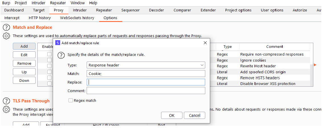 "Match and Replace Extension in BurpSuite"