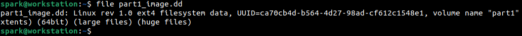 mounting forensic images