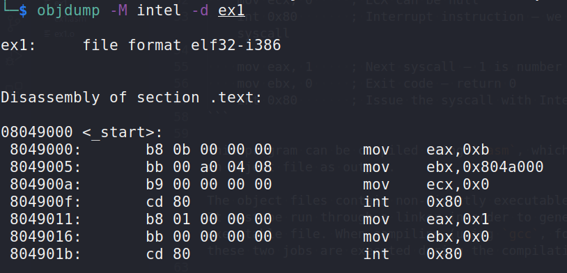 linux shellcoding