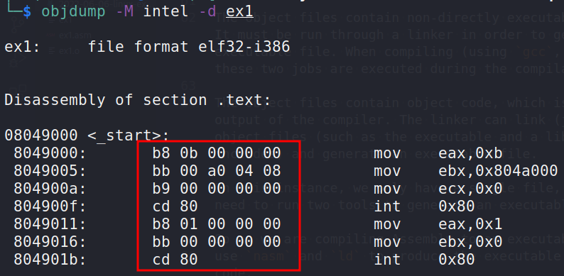 linux shellcoding