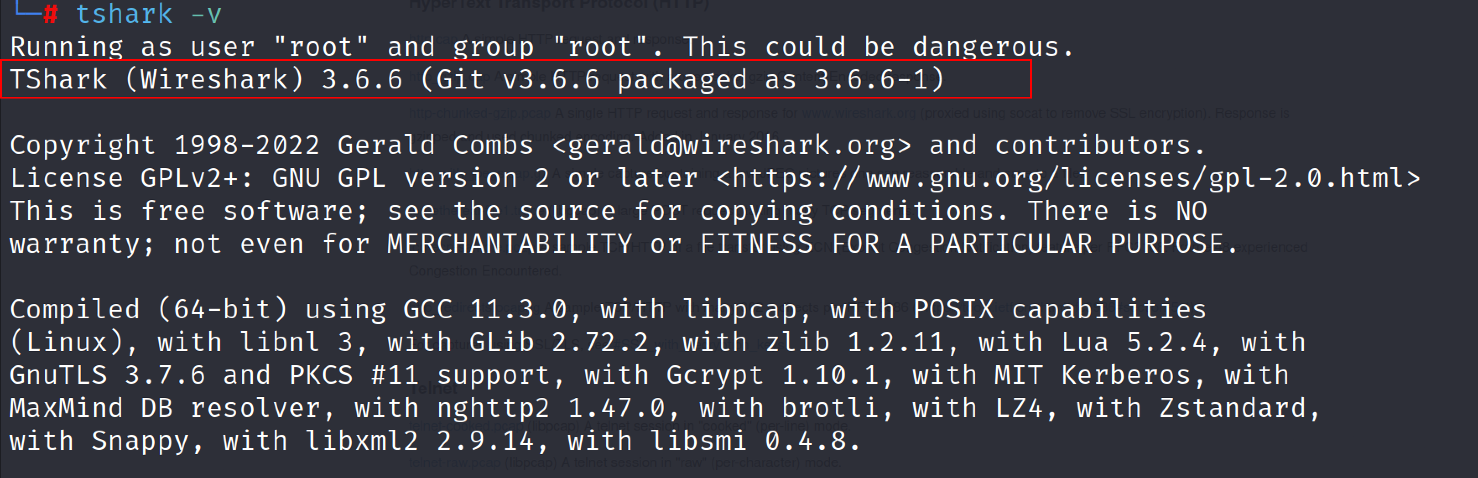 tshark_1.png