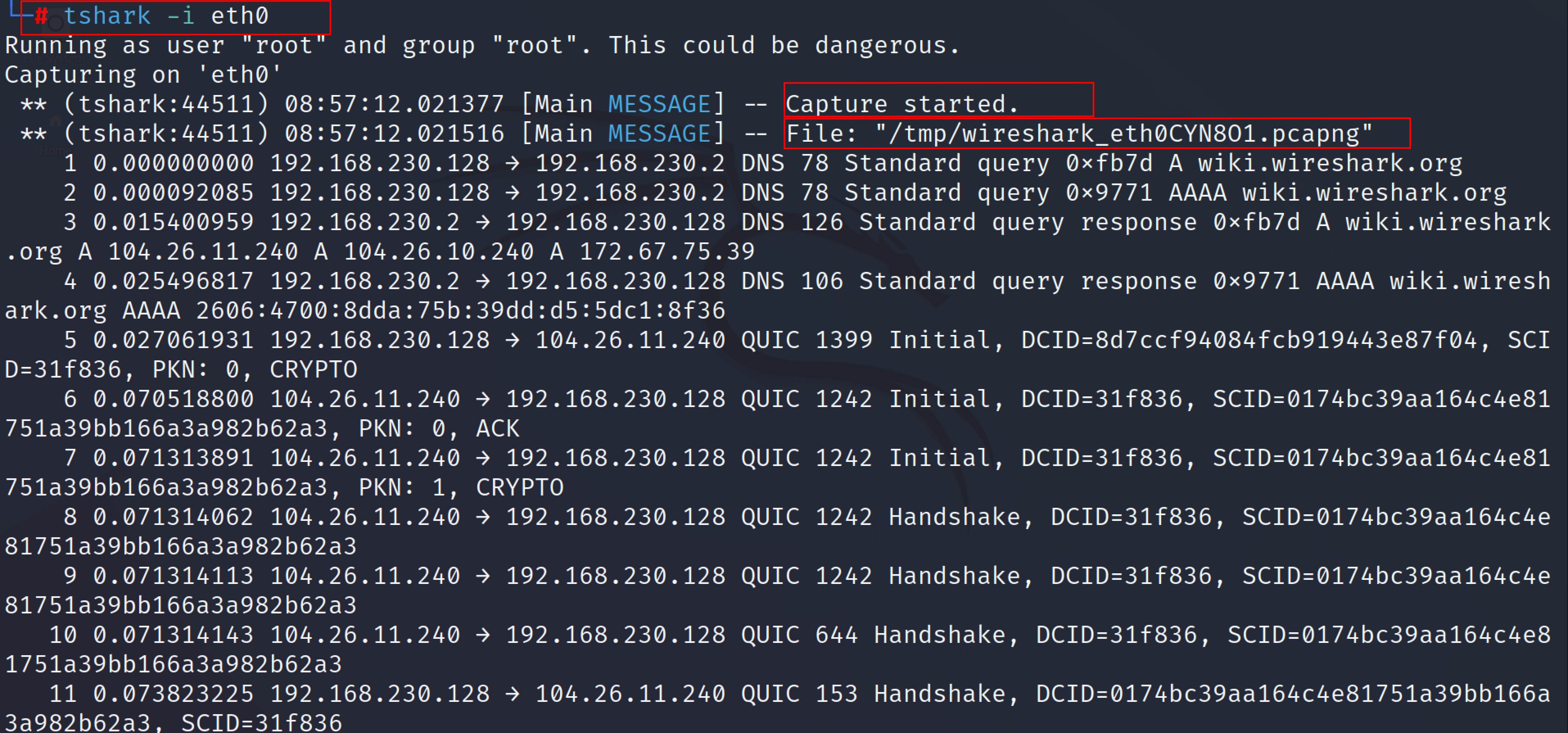 tshark_3.png