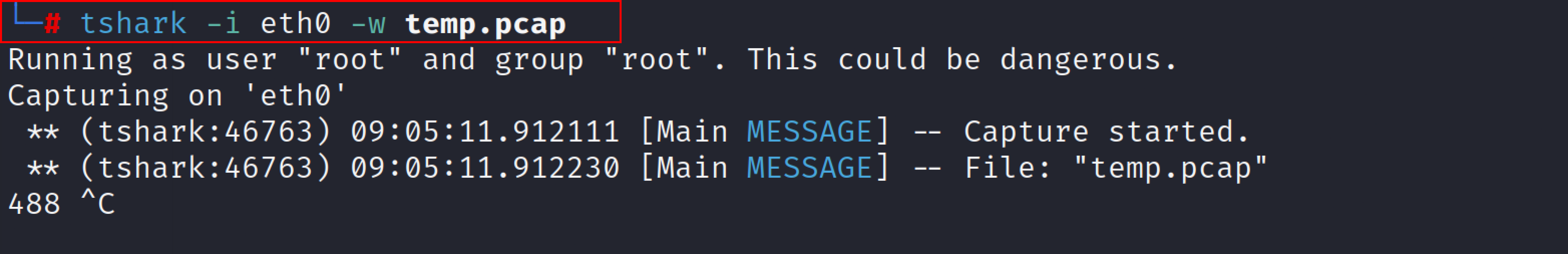 tshark_4.png