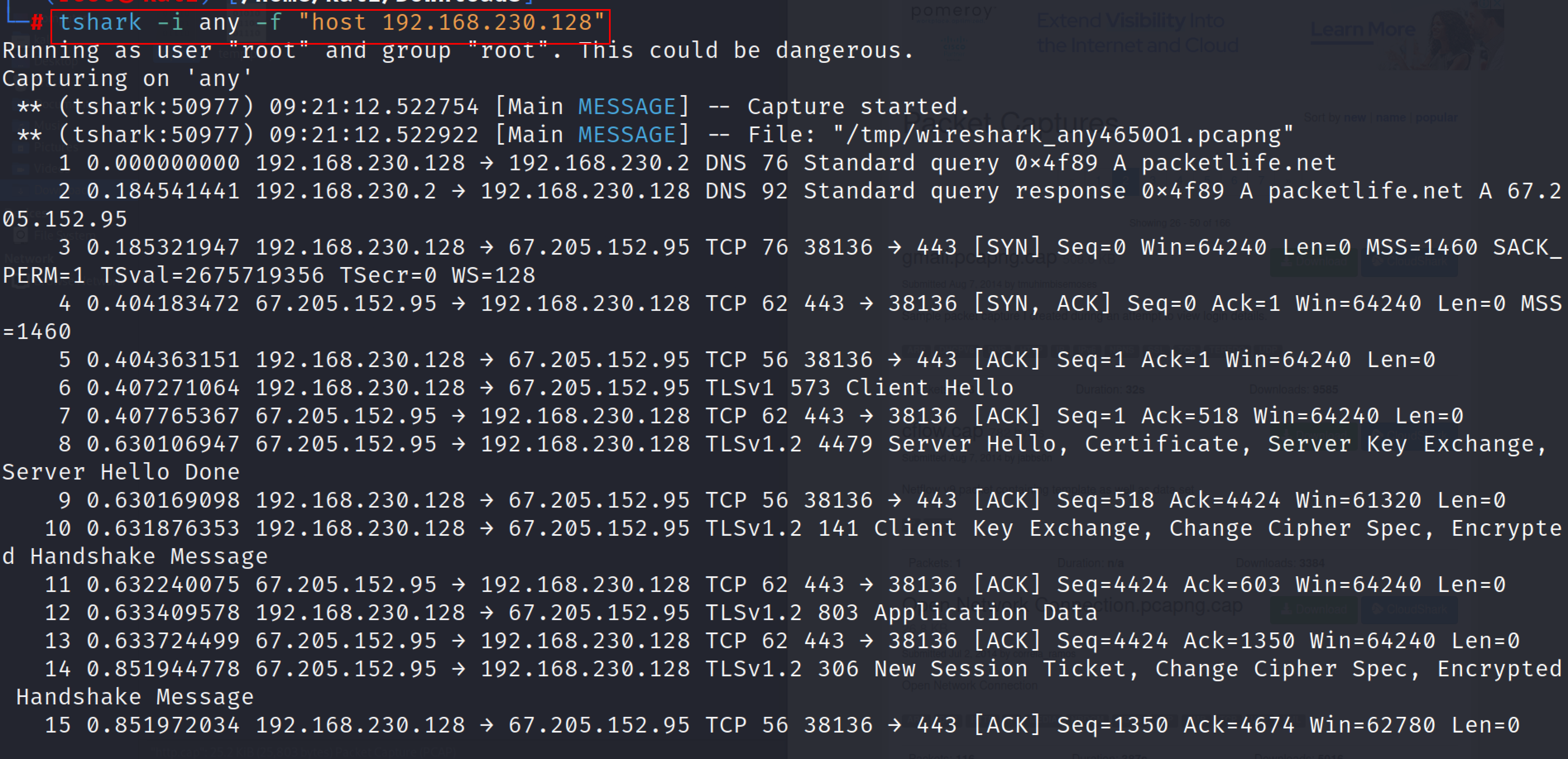 tshark_5.png