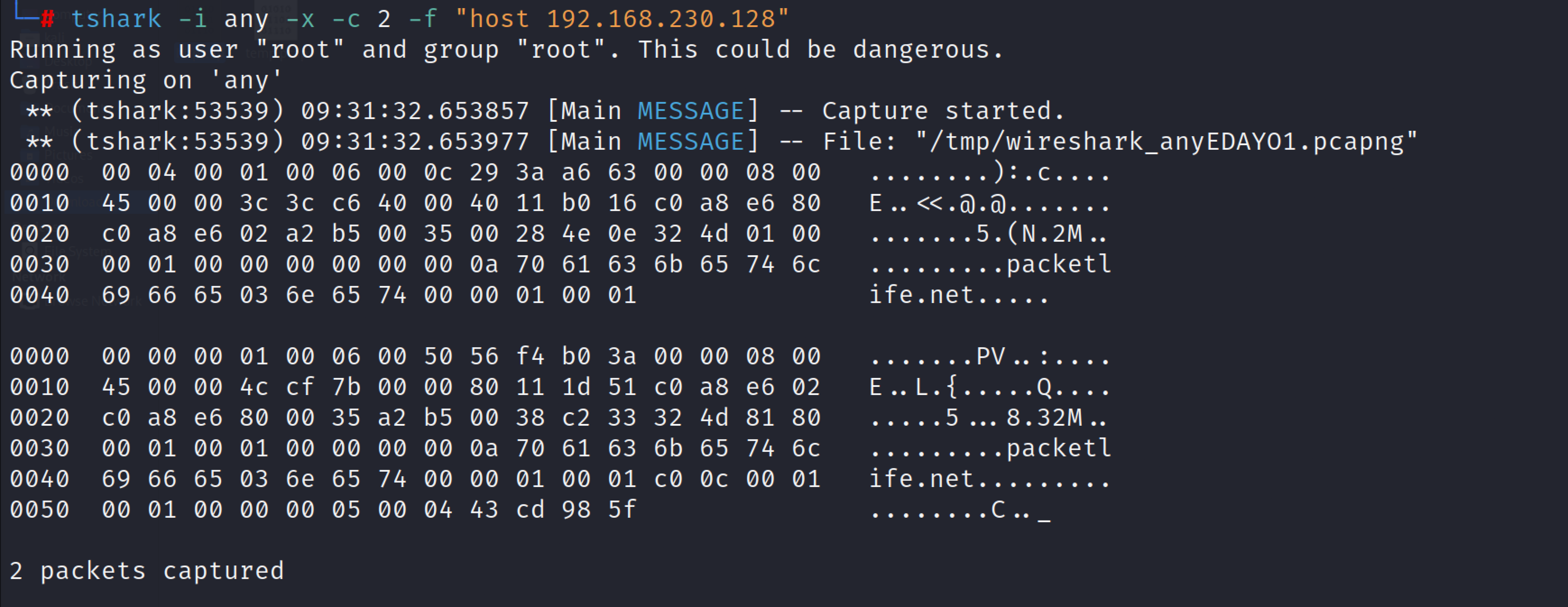 tshark_6.png