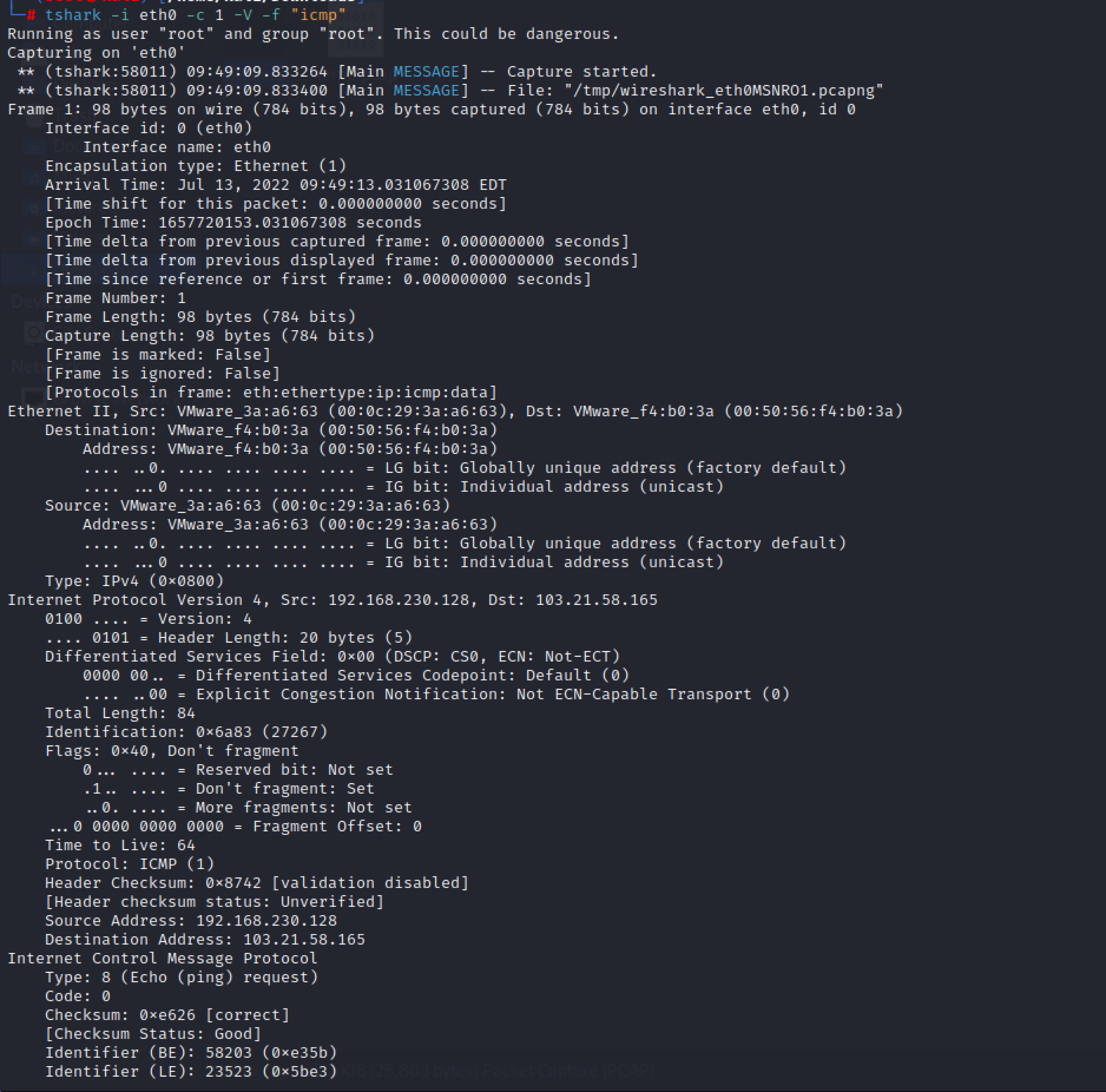 tshark_8.png