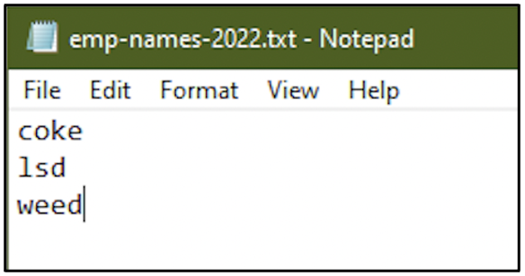 windows file system